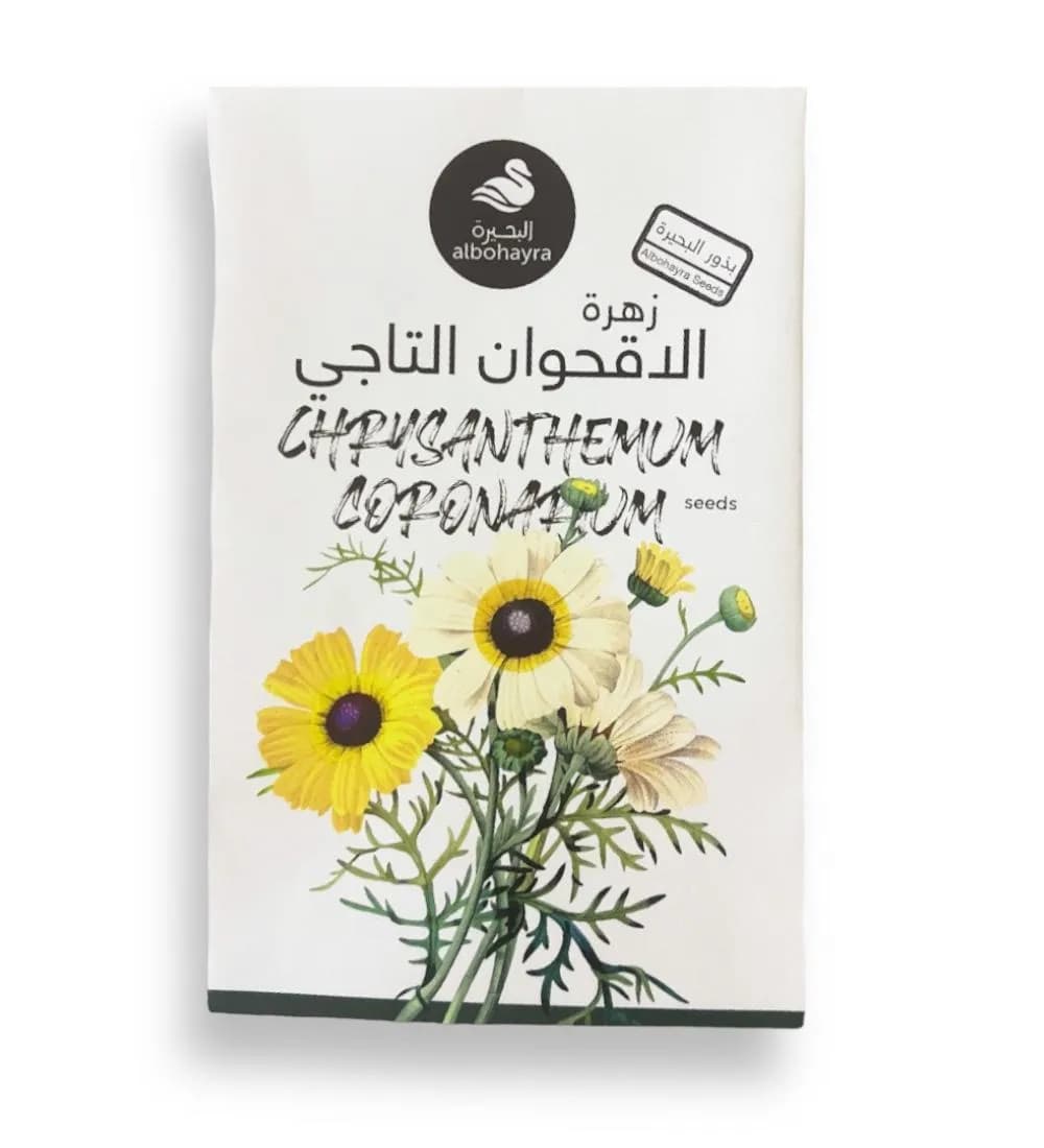 بذور زهرة الاقحوان التاجي