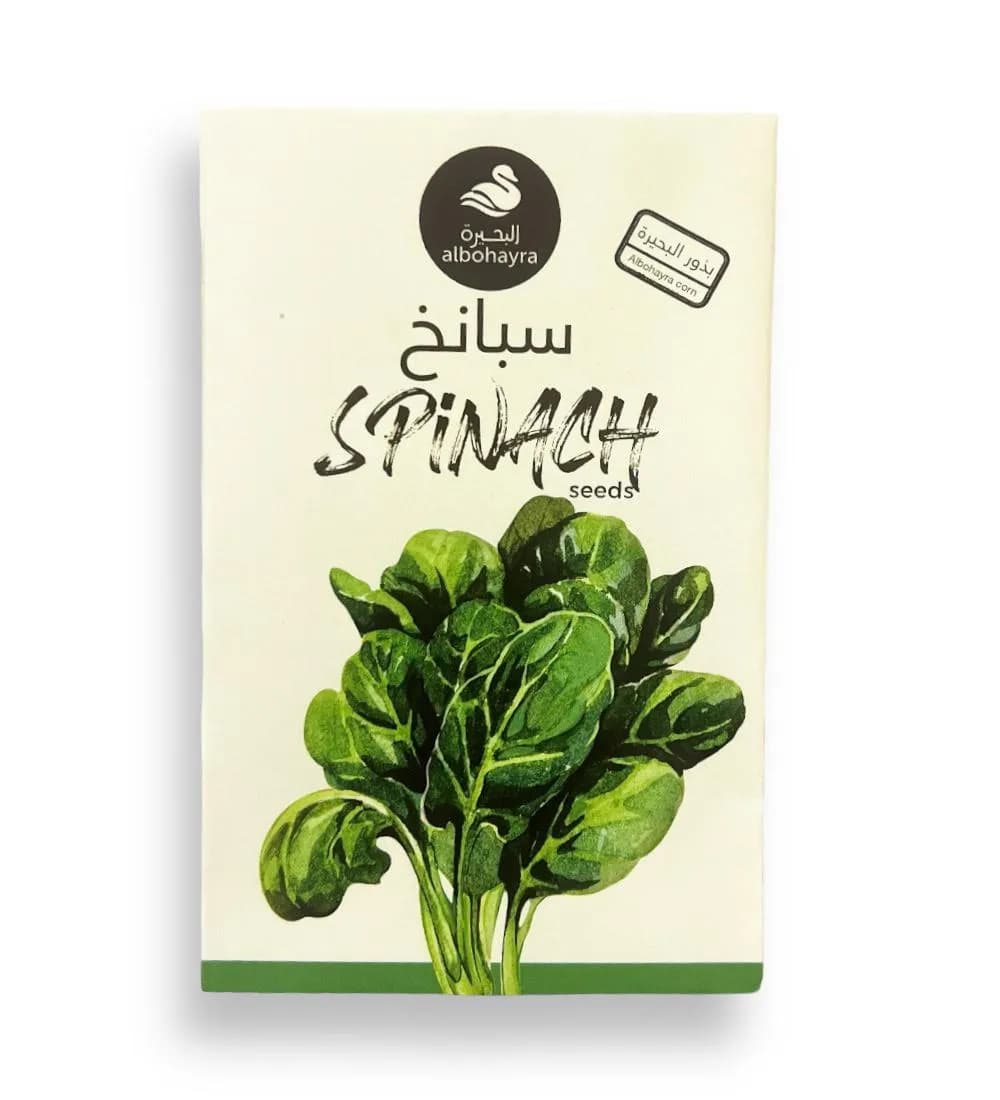 بذور سبانخ