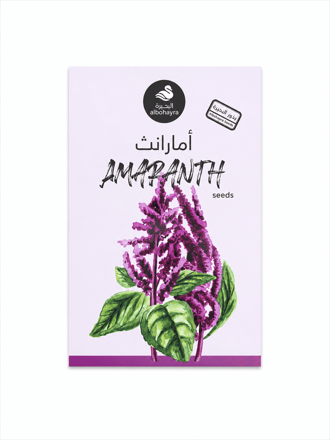 بذور امارانث احمر