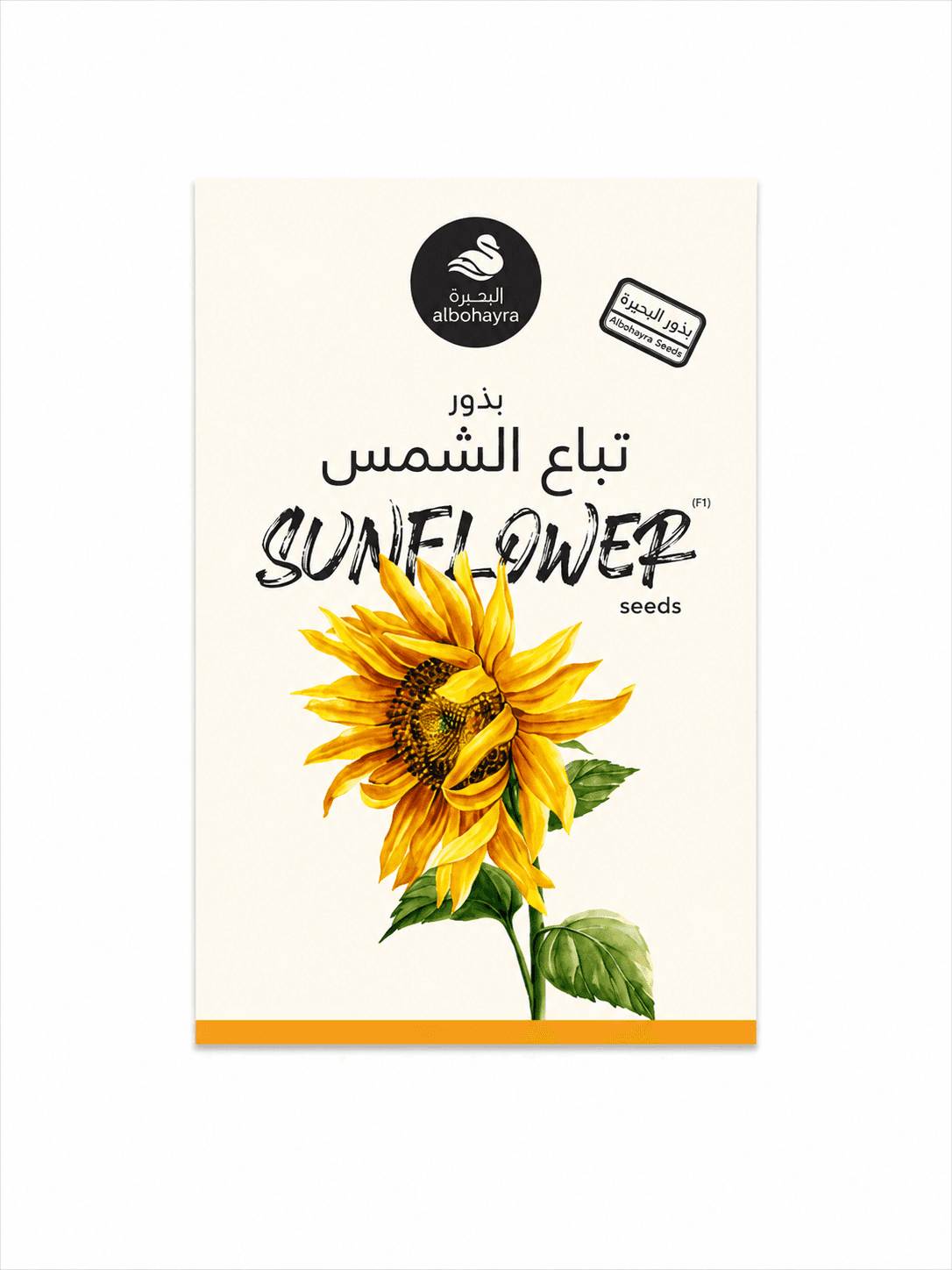 بذور تباع الشمس