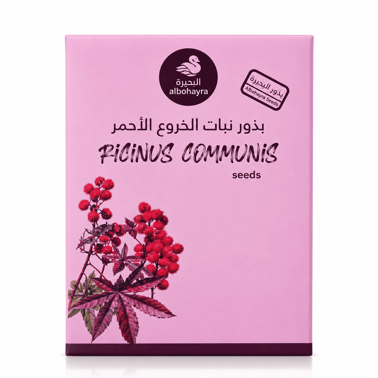 بذور خروع